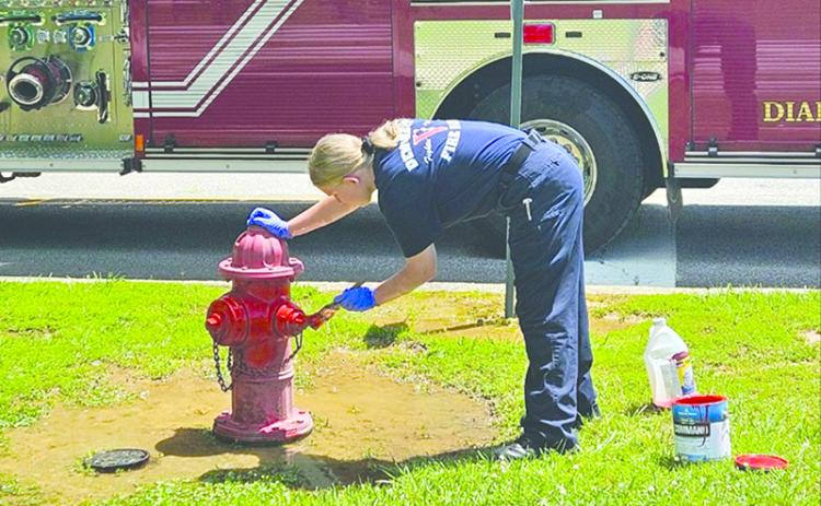 Demorest firefighter Mary Ellen Smith paints a hydrant on Saturday afternoon. SUBMITTED