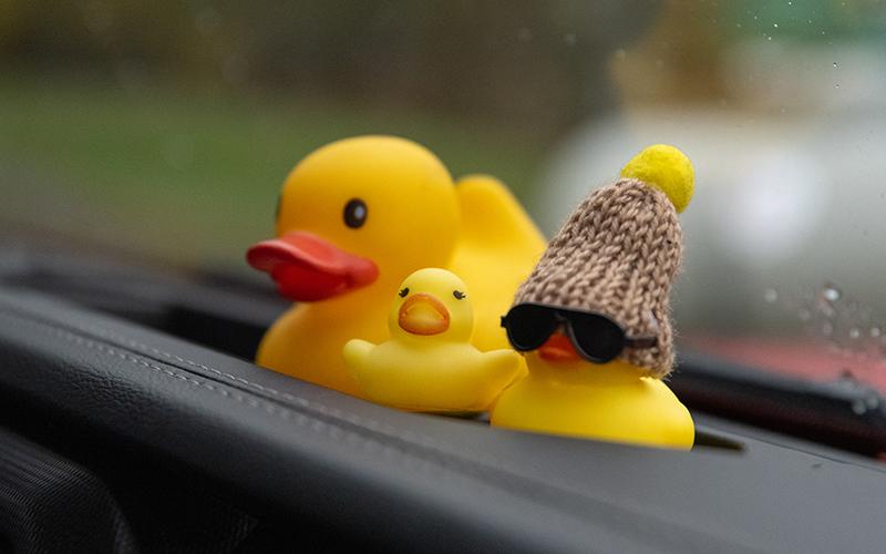 Three rubber ducks of various sizes and styles sit on the dash of Emily Gay’s Jeep. ZACH TAYLOR/Special