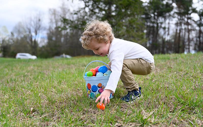 Atticus Khadayat picks up his first-ever Easter eggs in Mt. Airy after becoming ill in March 2023 and unable to participate in last year’s Easter festivities. In October, Khadayat met the flight paramedic who saved his life at the Habersham E-911 event in Clarkesville. ZACH TAYLOR/Special