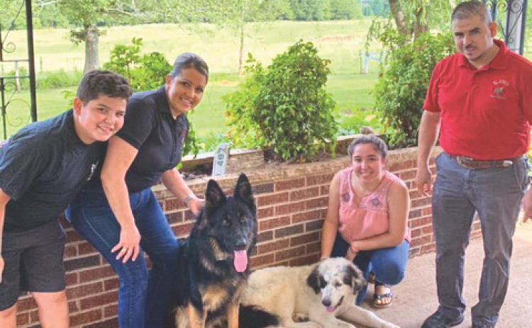 Shown, from left, is Alejandro Jose Romo; Leticia Romo; the family's 1-year-old German Shepherd, Jack; 5-month-old Grand Pyrenees, Pirata; Stephany Romo; and Alejandro Romo at their house in Mt. Airy, where Jack got loose and was taken to Orlando, Florida, then West Virginia.