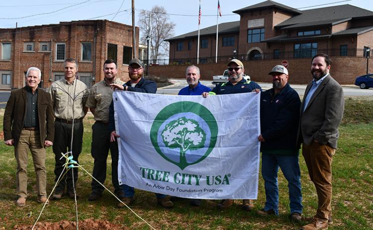 Shown (from left) at Cornelia’s Arbor Day celebration are Commissioner Don Bagwell, Michael Wood, Clay Pardue, Chris Norton, Commissioner Mark Reed, Jonathan Goss, Kevin Clark and Mayor John Borrow. JULIANNE AKERS/Staff
