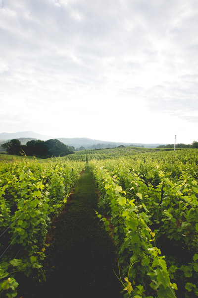 The winery at Kaya is the perfect backdrop for those seeking wedding day bliss. HORNE PHOTOGRAPHY & DESIGN