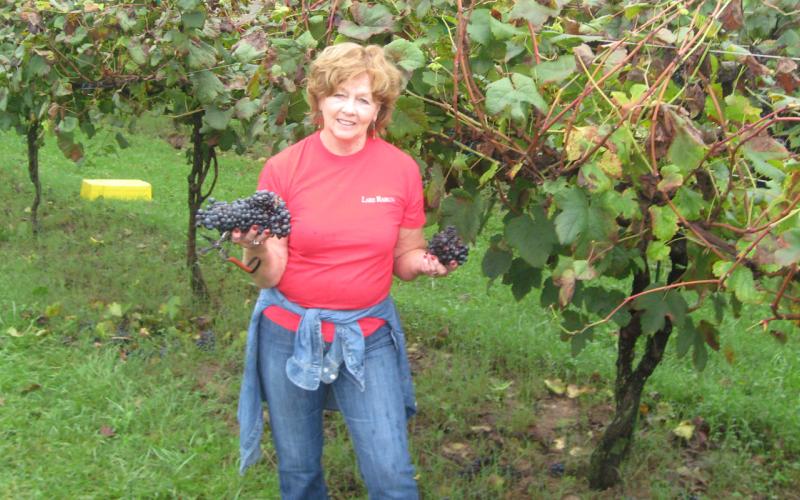 Winemaker