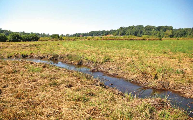 This property in Clarkesville undergoing a massive wetland restoration project. The project is taking place between Wall Bridge Road and Wall Bridge Loop which began the week of Aug. 26. (Photo/ERIC PEREIRA)