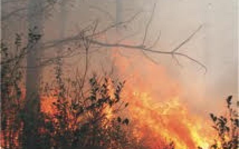 Dry conditions concern Northeast Georgia