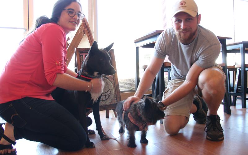 Eric Pereira/ Cornelia Tourism coordinator Brittain Williams and Whistle Top Brew Company owner Scott Hulsey show some love to Cerin and Tara. There are a wide variety of businesses in Cornelia that welcome your favorite canine.