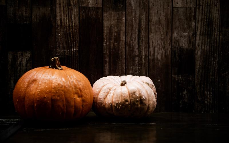 Photo by Taylor Vick/ Rain concerns for Trick-or-Treat on Halloween day.