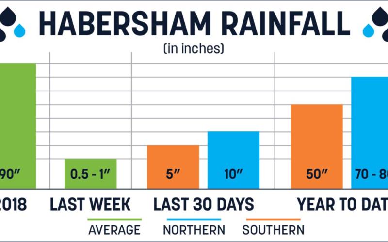 rainfall graph