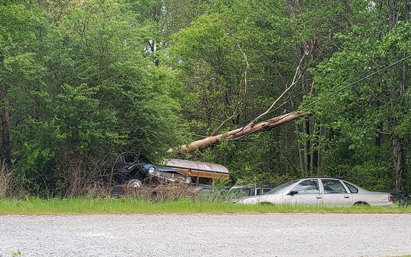 This tree went down over power lines in the southern part of the county. Photo by Alan NeSmith/Staff