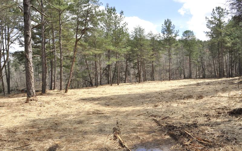 Tom Law / A Stephens County work crew recently cleared this area at Stephens County Park to create a site for a Tugaloo River Water Trail takeout for kayaks and canoes.
