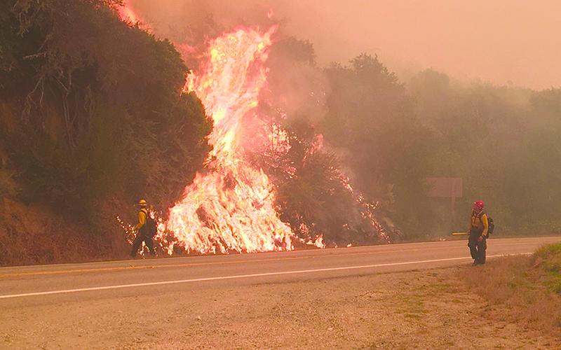 Firefighters work to contain the Dolan fire in Big Sur, California. U.S. Forest Service personnel from across the country are traveling to California to help fight the wildfires. Photos Courtesy of D.Dahlberg