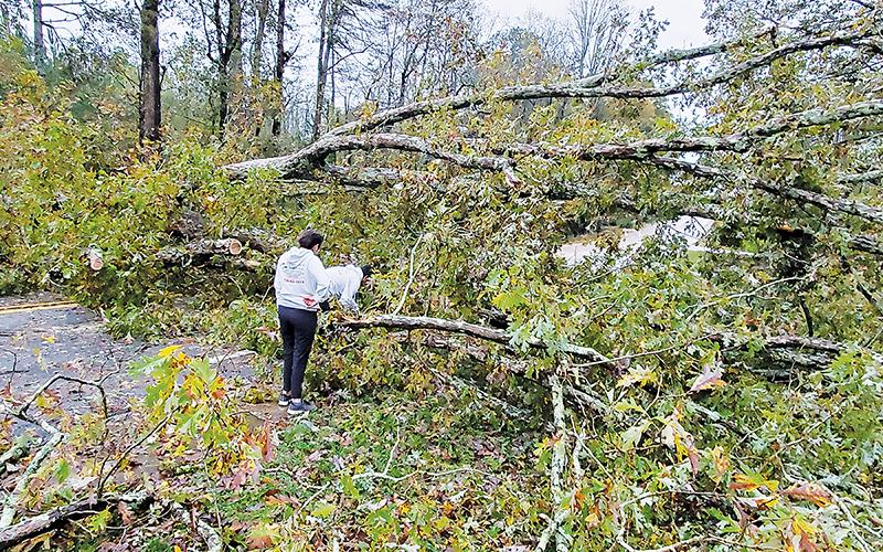 Jose and Fabiola Flores try to dig through a downed tree on Louise Street in Clarkesville on Thursday morning. SAMANTHA SINCLAIR/CNI News Service