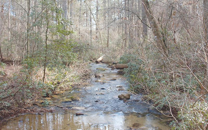 Panther Creek’s beautiful trails and scenic hiking areas are still getting visitors even though they are technically closed.