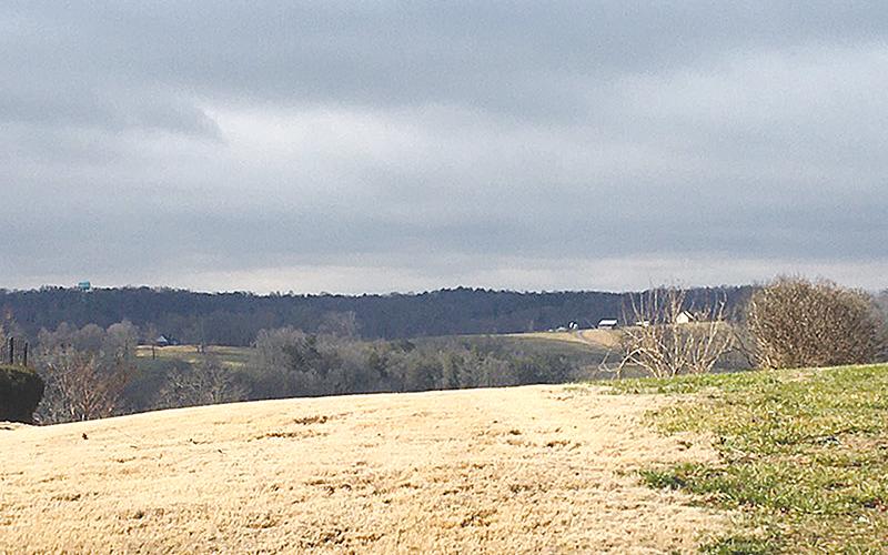 This view is from the Annandale housing development back toward where the proposed cell phone tower was slated to be placed.