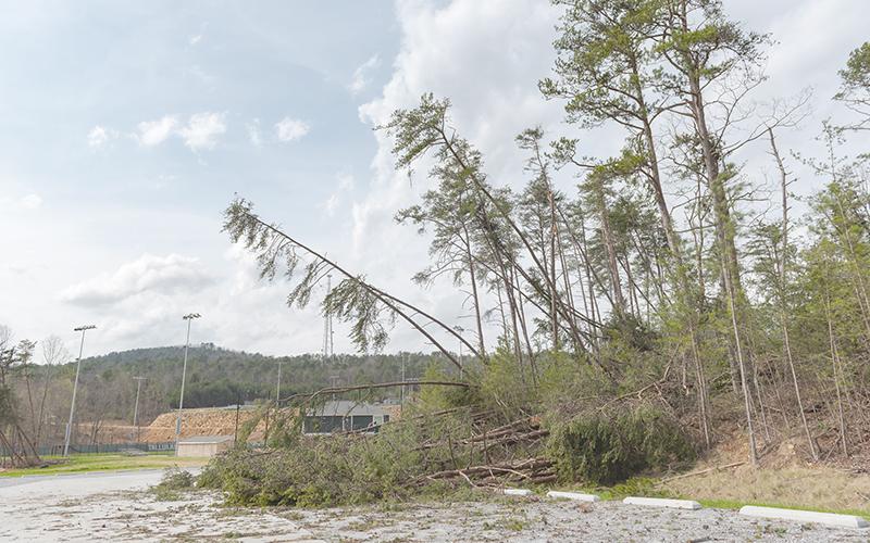 Trees were downed among other damage on Tallulah Falls’ campus early Friday morning when a microburst hit the area during a heavy thunderstorm. E. LANE GRESHAM/Special