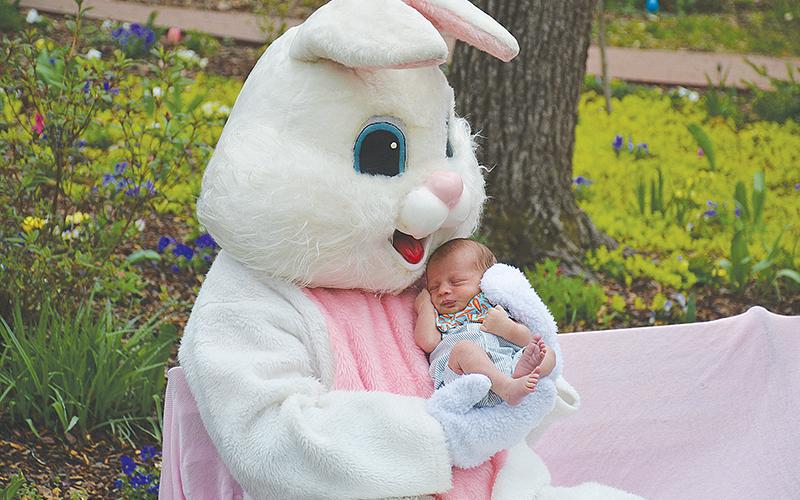 A week before the holiday, the Easter Bunny was seemingly everywhere, and even the youngest of children got a chance to visit with him after everyone missed out on Easter events last year due to the pandemic. Here, Danny Michael Matthews, all of 17 days old, gets a hug Saturday morning at the Mauldin House in Clarkesville.