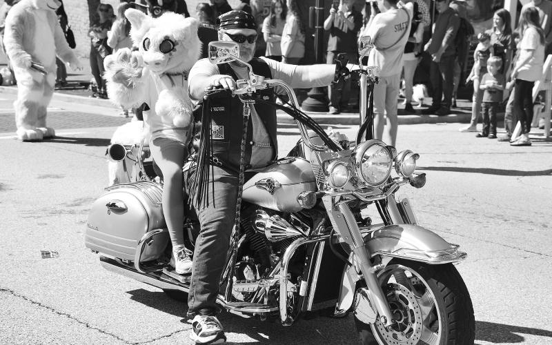 Hog on a hog? Anything can happen at the Mountain Laurel Festival. MATTHEW OSBORNE/Staff