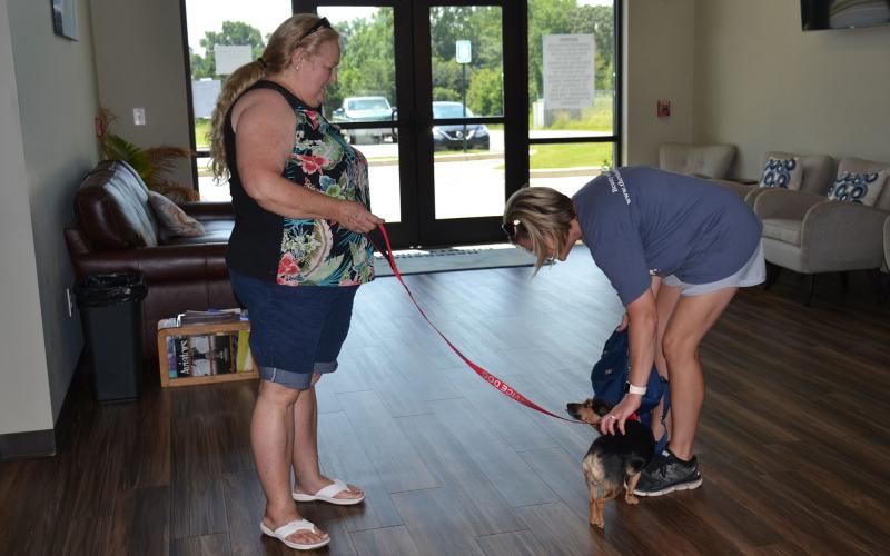 Brenda Reed and Leah MacNellis give Theo the attention he craves at the Habersham County Airport. They get as much love from him as he from them, though. BRIAN WELLMEIER/Staff