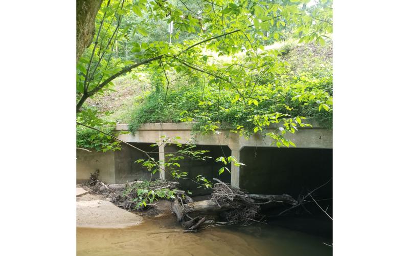 Georgia’s Department of Transportation has been advised of trees down near Duncan Bridge Road. SUBMITTED
