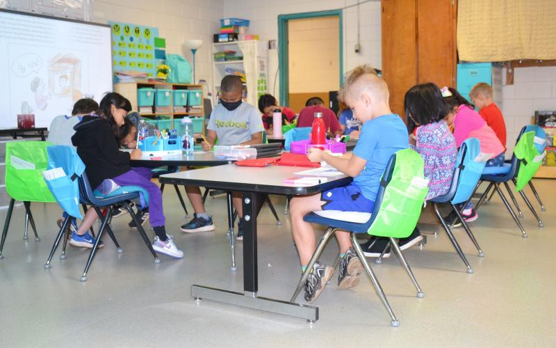 Second grade students dive into their studies in Ms. Sonya Elias' class at Baldwin Elementary. BRIAN WELLMEIER/Staff