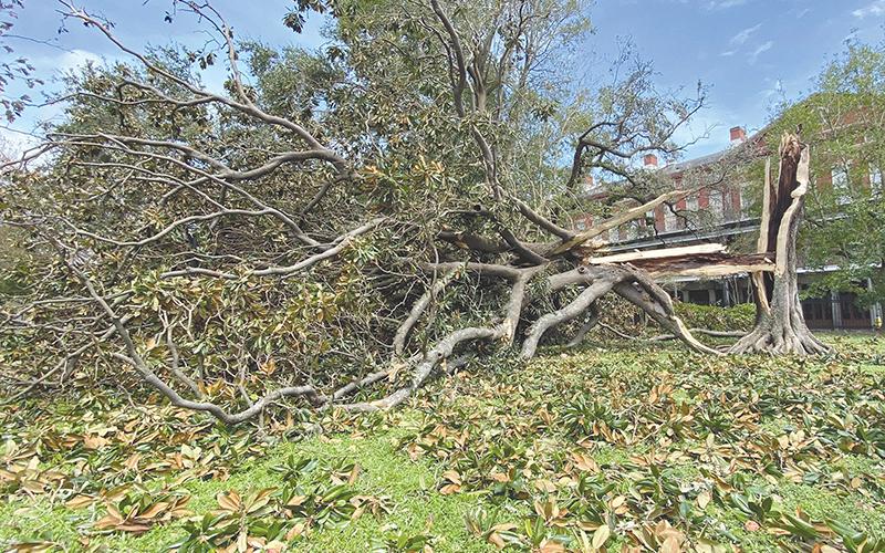 Damage and debris left in the wake of Hurricane Ida which struck Louisiana in recent days.