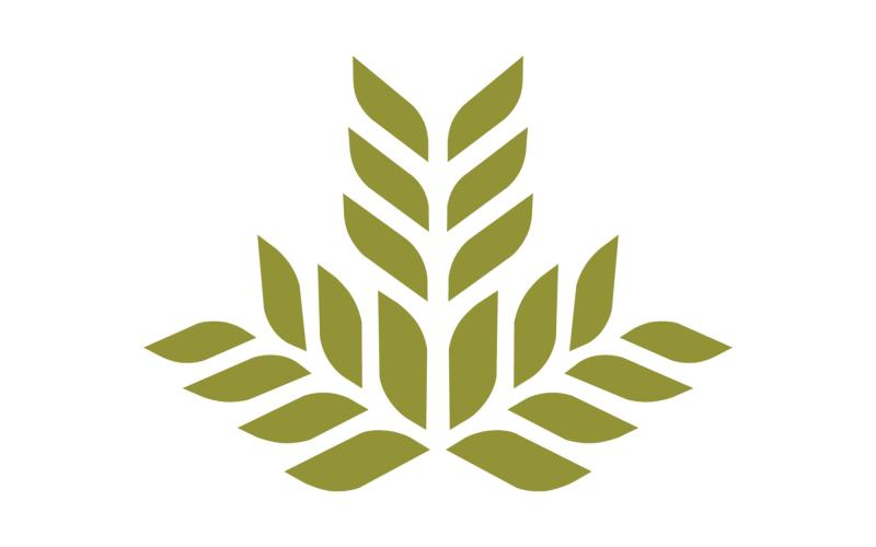 Northeast Georgia Health System