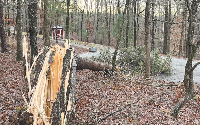 A split tree on Chestnut Ridge Drive in Clarkesville was one of many that came down early Monday morning in a windstorm that followed a week’s worth of rain and a 30-degree drop in temperature.