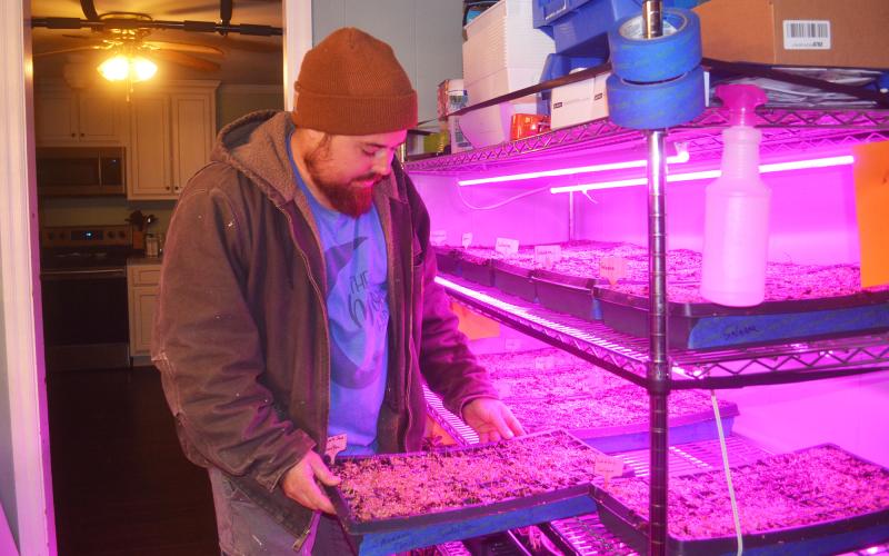 Justin Holbrook tends to seedlings at the nursery in his home. BRIAN WELLMEIER/Staff