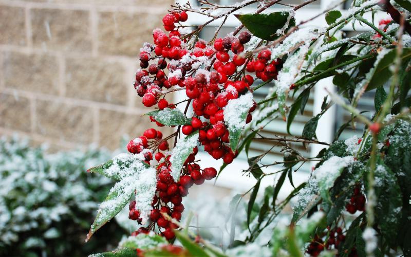 By Sunday afternoon, Habersham County could be covered in ice, as the first major winter storm of the season is bearing down on North Georgia.