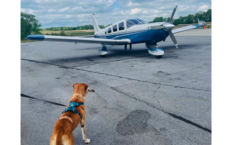 Grado checks out his private plane just before getting a sendoff from some of his two-legged friends, including Deborah Schildbach, Madi Nix and ACO officer Bill Ireland. MADI NIX/Submitted