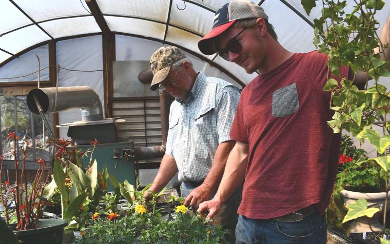 Tim and Kenneth McConnell work in one of their greenhouse units at McConnell Greenhouse. BRIAN WELLMEIER/Staff