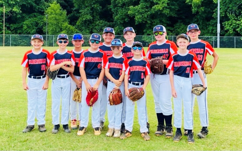 Members of Habersham County’s recreation baseball 12U all-stars are (from left) Sawyer Smith, Kody Wilcox, Ezekiel Wilkerson, Luke Thomson, Harris Palmer, Bryson Rosenquist, Evan McIntyre, Lofton Whittington, Tate Colston, Ayden Hallford and Ashton Farnham. Not pictured is Eli Hayes. Coaches are Jeremy Whittington, Alan Hayes, Lew Hallford, Daniel Smith, Ben Wilcox and Scott Palmer. GRANT GUNTER/Submitted
