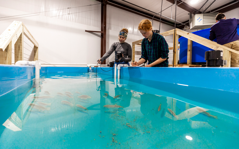 The new complex at North Georgia Technical College offers students all kinds of new tools for learning. AMY HULSEY/Submitted