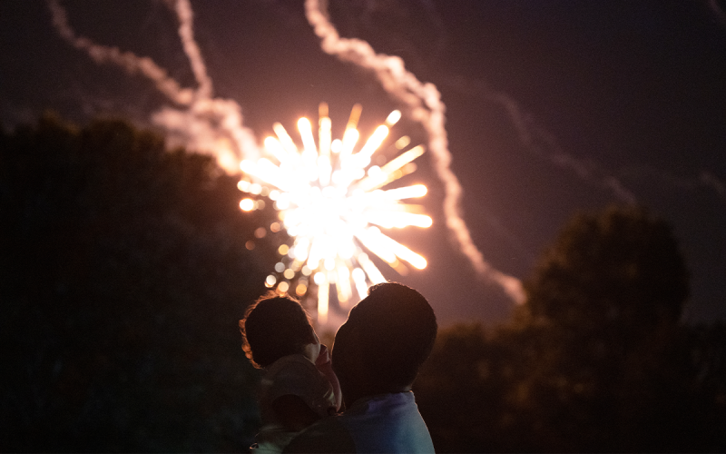 A father and son watch the fireworks through the trees together. ZACH TAYLOR/Special