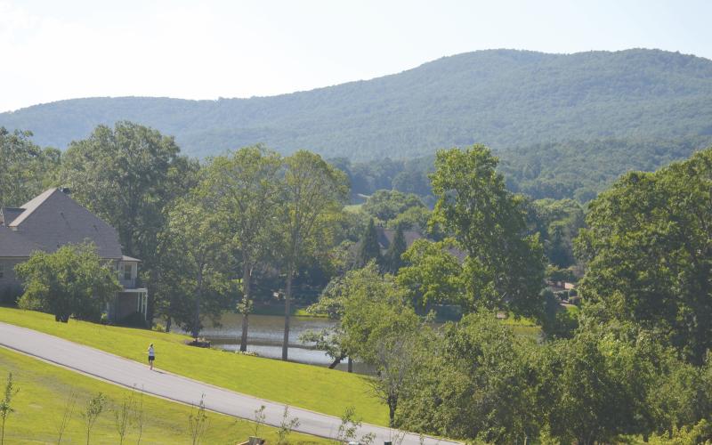 Residents of The Orchard are proud of their neighborhood's natural beauty, and many of them oppose the placement of a radio tower there. MATTHEW OSBORNE/Staff