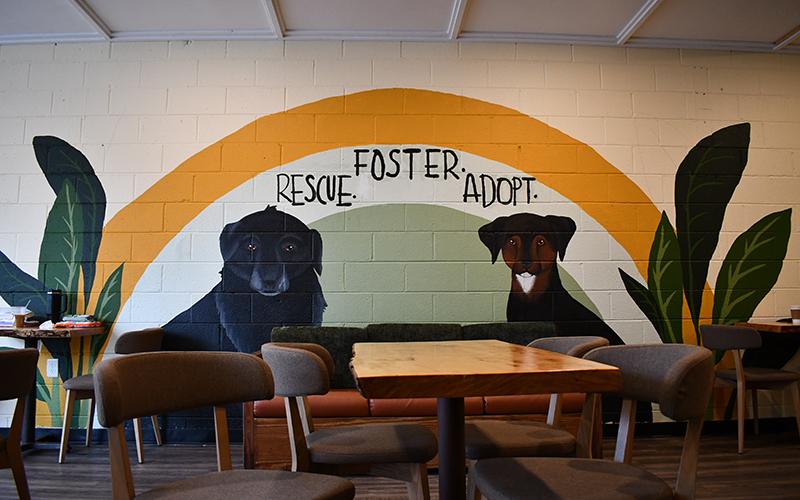 A mural spans the wall of Man’s Best Friend Café encouraging people to foster, rescue and adopt animals. It depicts Shaggy (left) and Zoe (right), two of Lincoln’s dogs who have passed away. JULIANNE AKERS/Staff
