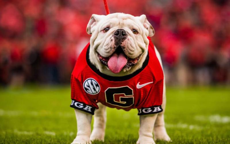 Photo of UGA X. UNIVERSITY OF GEORGIA ATHLETICS/SUBMITTED