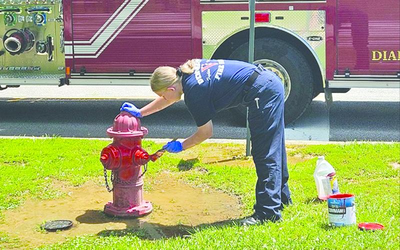 Demorest firefighter Mary Ellen Smith paints a hydrant on Saturday afternoon. SUBMITTED