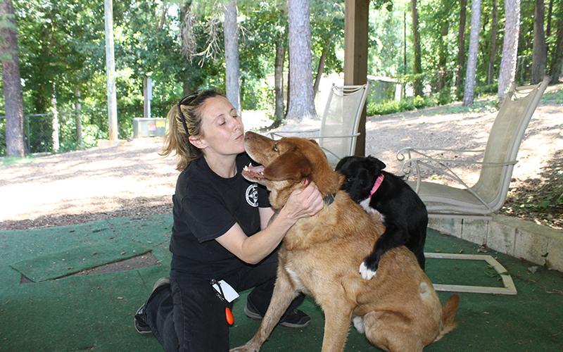 Habersham County Animal Control Director Madi Nix plays with dogs Harvard and Myles. BRIAN WELLMEIER/Special