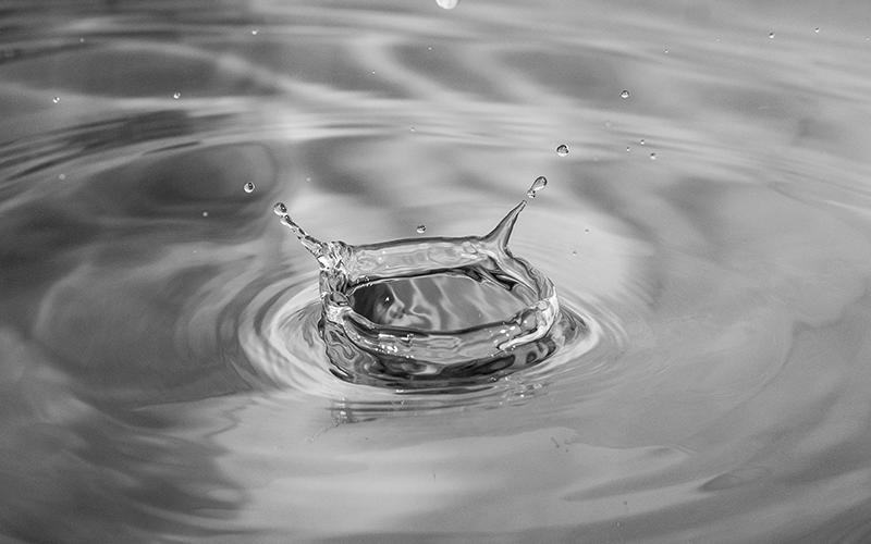Photo by Mohan Murugesan on Unsplash