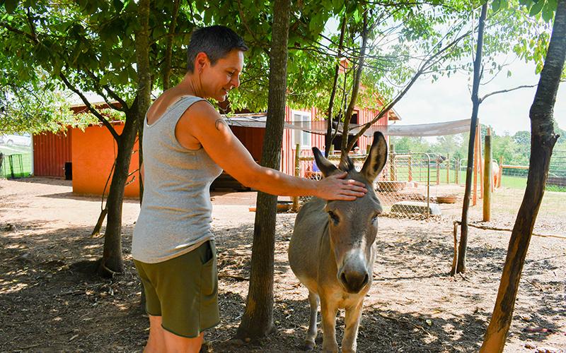 Jessie Romer gives Hank the donkey a pat on the head before giving him a few fruits to snack on. JULIANNE AKERS/Staff
