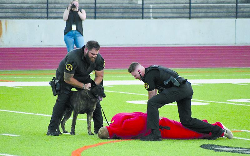 Habersham County K9 Zane, along his handlers Deputy Blake Forrester (left) and Deputy Holden Helcher, demonstrated their expertise for the crowd Saturday night with help from decoy Brandon Brooks. LANG STOREY/Staff
