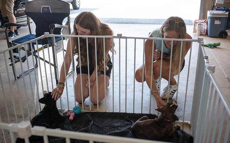 Aisley and Alyssa White pet puppies at the Mutty Paws Rescue adoption booth during the Eddy Bear car show on Saturday. The organization is all about “adopt, don’t shop” when it comes to finding new companions for one’s home. ZACH TAYLOR/Staff