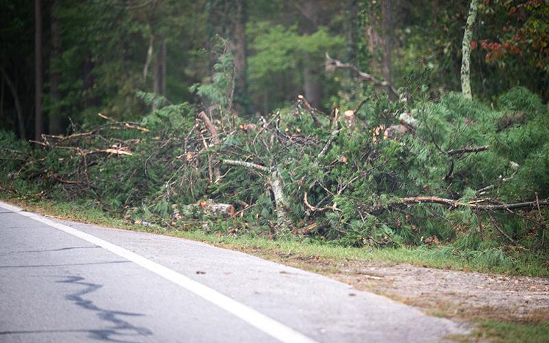 Debris still hangs into some roadways. Trees were down into HWY 365 Friday morning around 3 am. ZACH TAYLOR /Staff