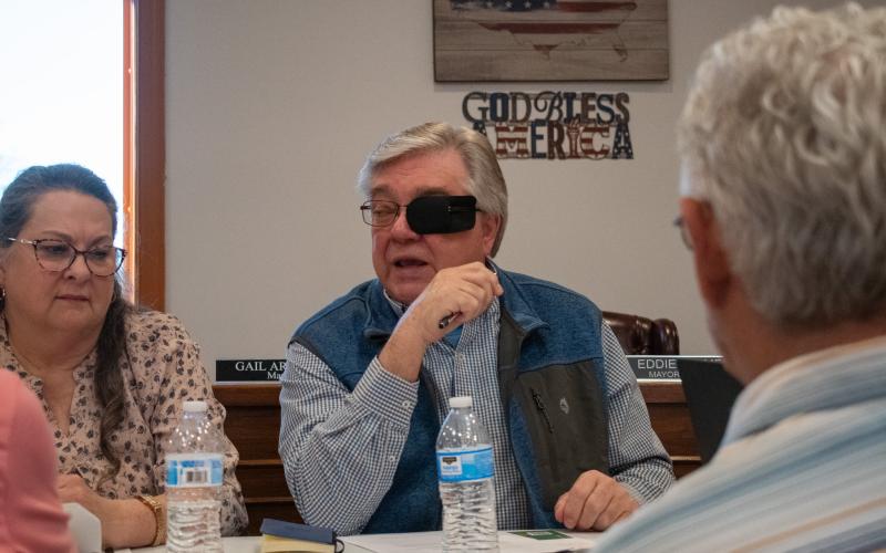 Alto Councilman Eddie Palmer offers his two cents on the fence issue during Tuesday’s work session. HANNAH CAUDELL/Staff