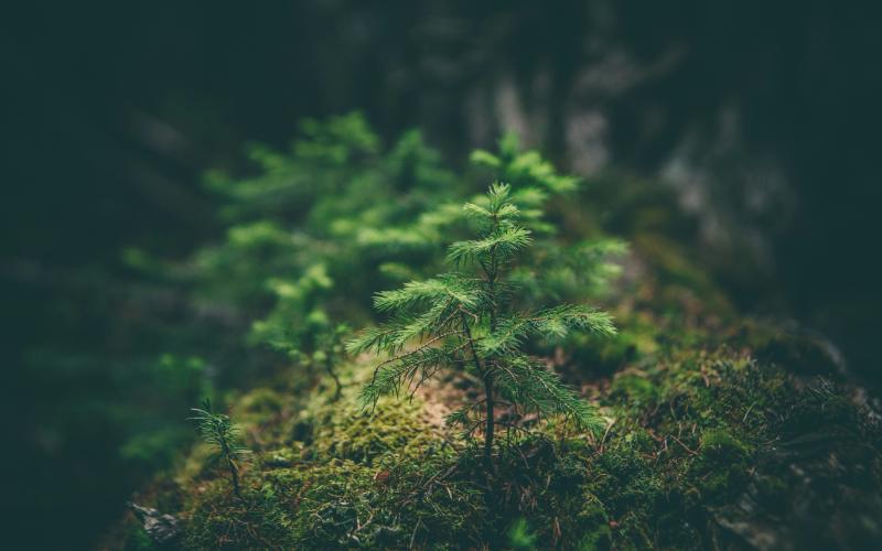 Photo by Matthew Smith on Unsplash