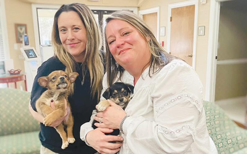 cilwoman Alice Venter and pose with puppies in February 2023. (File)