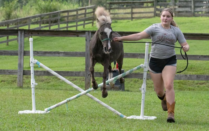 Isabella Ramey (right) runs with Vy as the pony jumps the first obstacle in the practice arena. (Hannah Caudell/Staff)