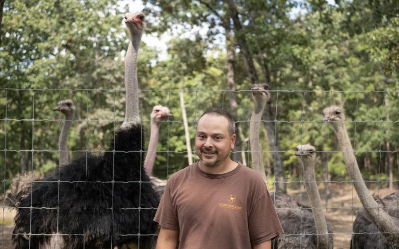 Georgia Ostrich Farm owner Stefan Kuehnert stands in front of his breeding pair pen at the Turnerville location. (Zach Taylor/Staff)
