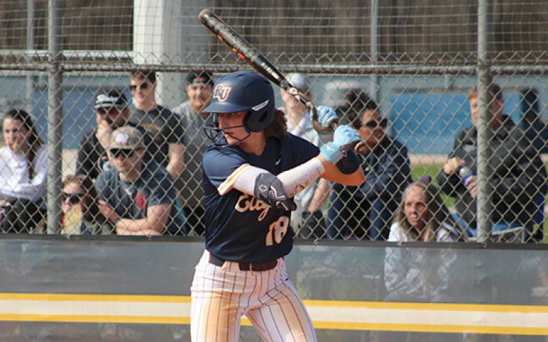 Habersham Central High softball alumni Taylor Wade is entering to her last season with Reinhardt University. (Reinhardt Athletics/Special))